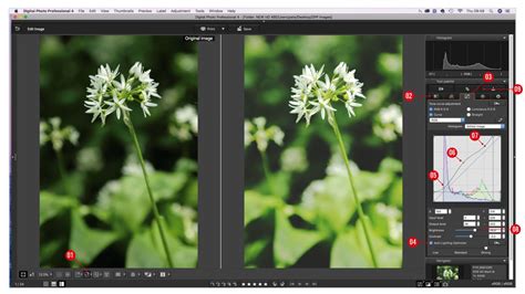 Edit photos with DPP .